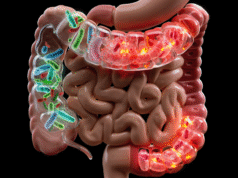 What I Eat In A Week To Boost My Gut Health